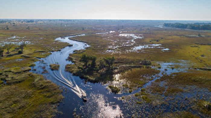 Moremi, Okavango