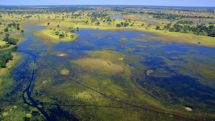 Okavango